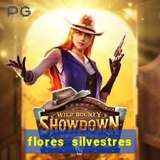 flores silvestres desbravadores desbravadores 25